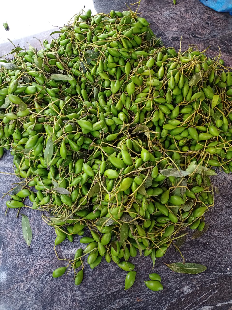Sudur Pickles Gallery Image